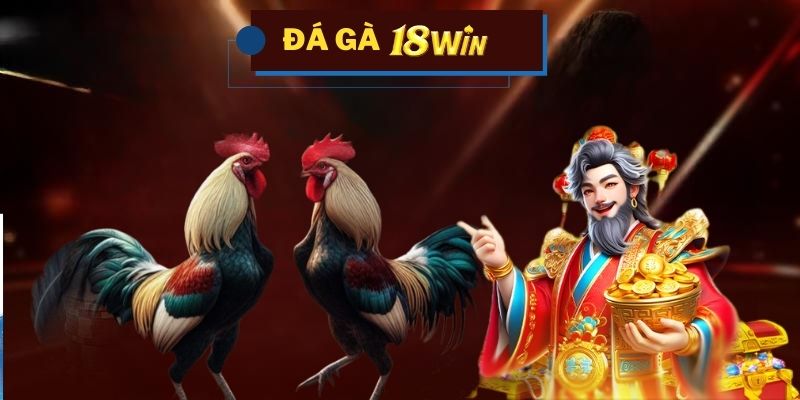 Giới thiệu về sảnh đá gà 18win